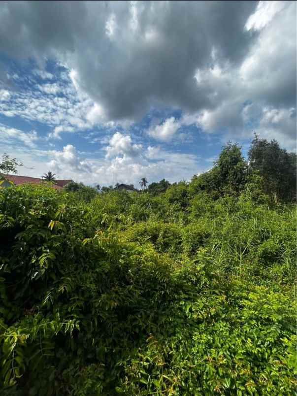 dijual tanah dijual tanah di gg h