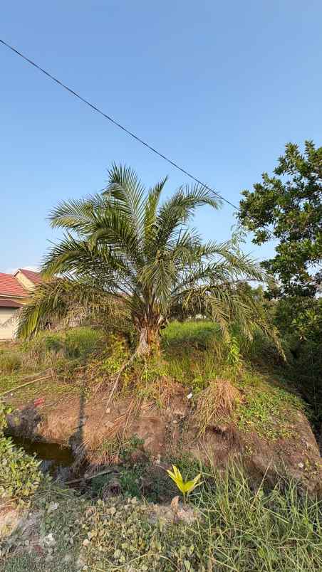 dijual tanah dijual tanah di jalan g