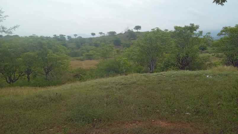 dijual tanah dijual tanah di jl jabal