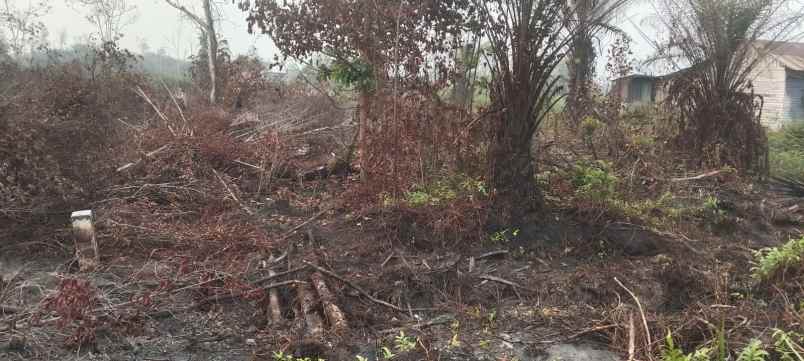 dijual tanah dijual tanah di jln umpu