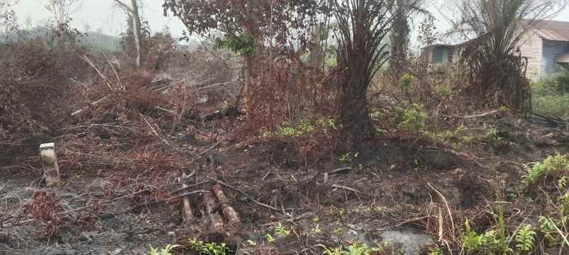 dijual tanah dijual tanah di jln umpu