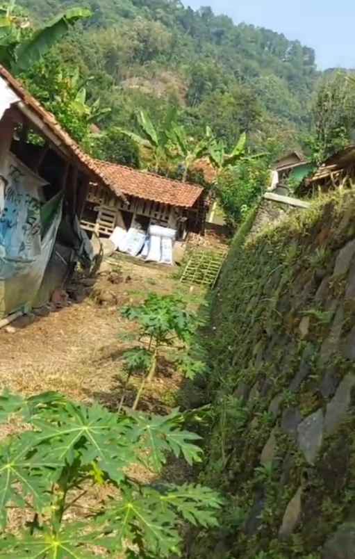 dijual tanah dijual tanah di kp
