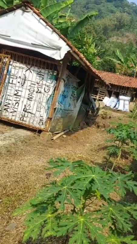 dijual tanah dijual tanah di kp