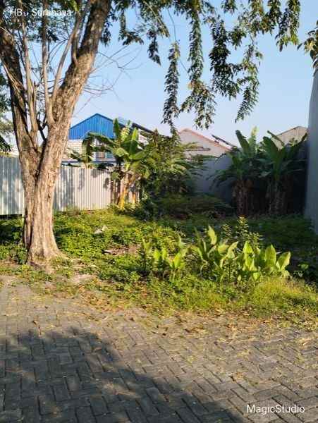 dijual tanah gayungsari surabaya selatan