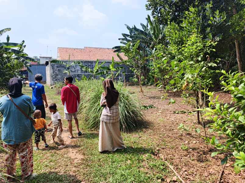 dijual tanah gg ali hamdan