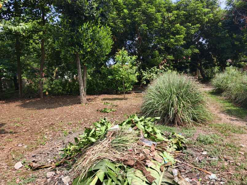 dijual tanah gg ali hamdan