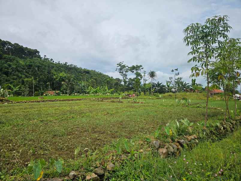 dijual tanah gunung bunder pamijahan