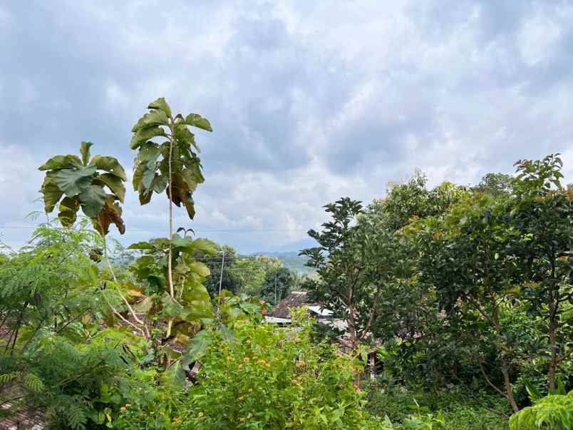 dijual tanah hanya 80 juta kerjo karanganyar