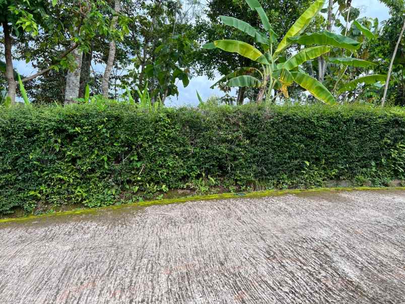 dijual tanah hanya 80 juta kerjo karanganyar