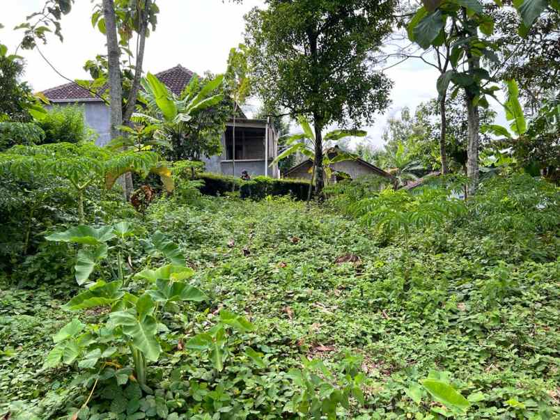 dijual tanah hanya 80 juta kerjo karanganyar