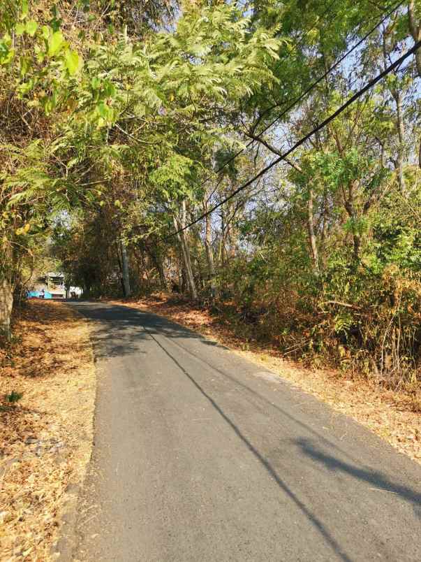 dijual tanah jalan bias tugel beach