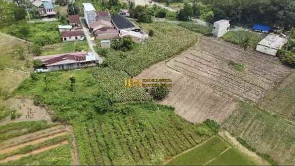 dijual tanah jalan petunia raya namu