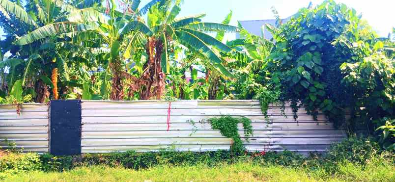 dijual tanah jalan tegal dukuh