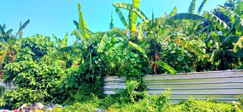 dijual tanah jalan tegal dukuh