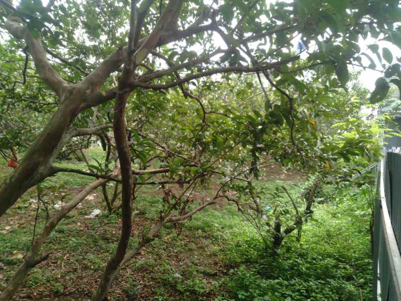 dijual tanah jl bedahan terrace