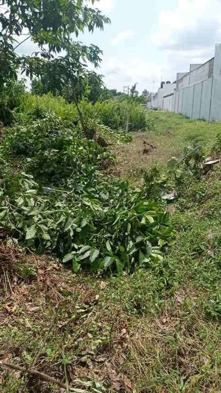 dijual tanah jl datuk setia maharaja