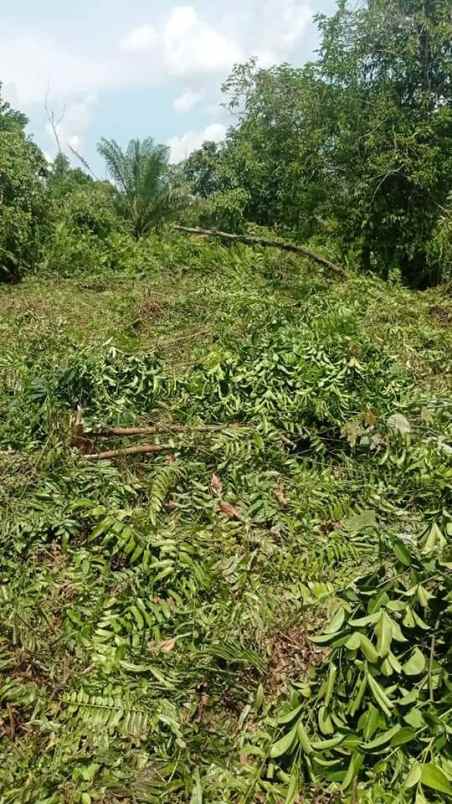 dijual tanah jl datuk setia maharaja