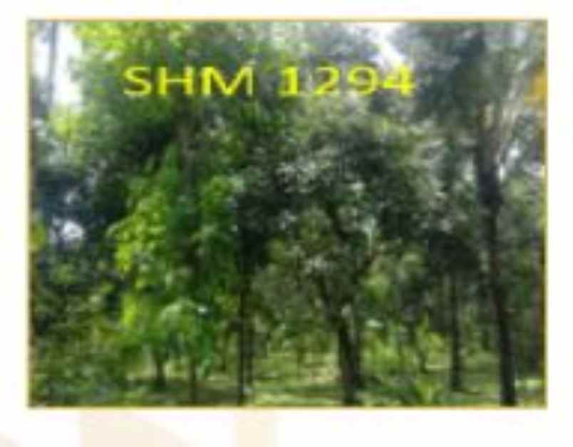 dijual tanah jl nengah nastra