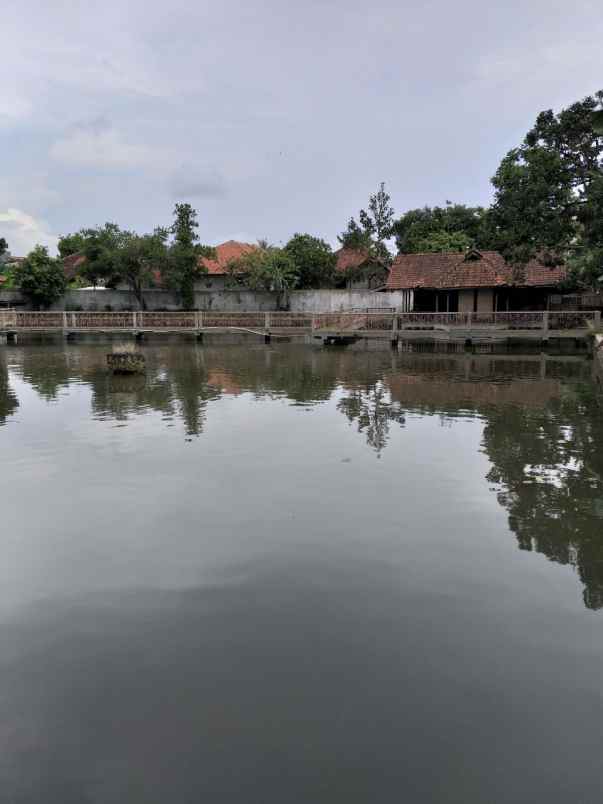 dijual tanah jl petir