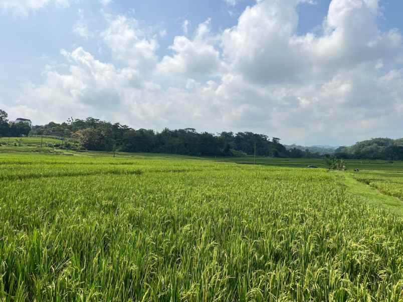 dijual tanah karangpandan karanganyar