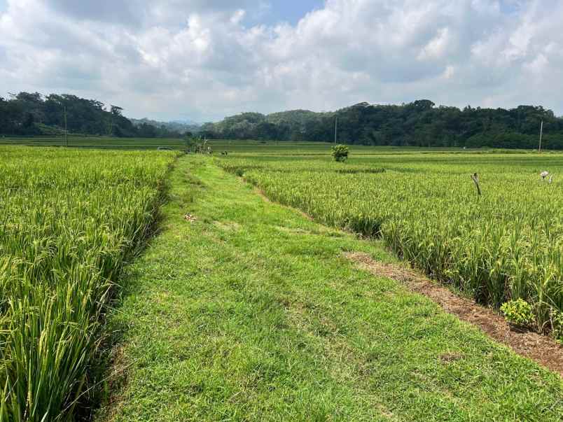 dijual tanah karangpandan karanganyar