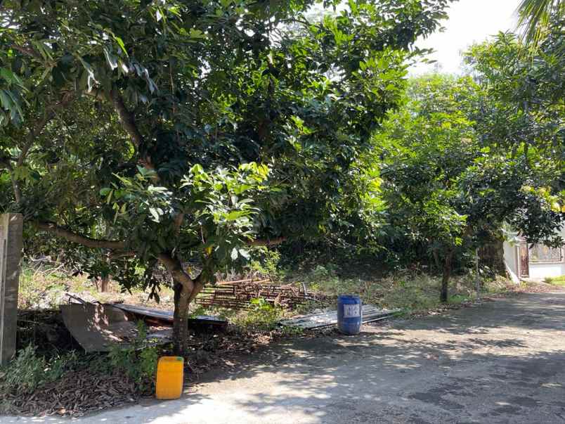 dijual tanah kavling perumahan dprd cibubur