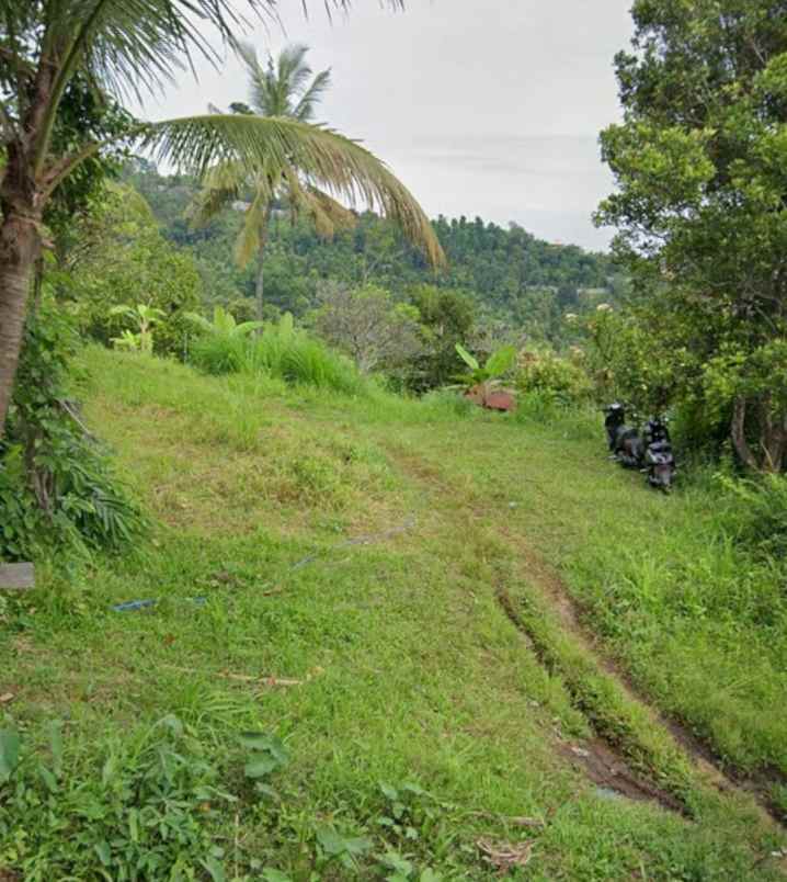 dijual tanah kayu putih buleleng bali