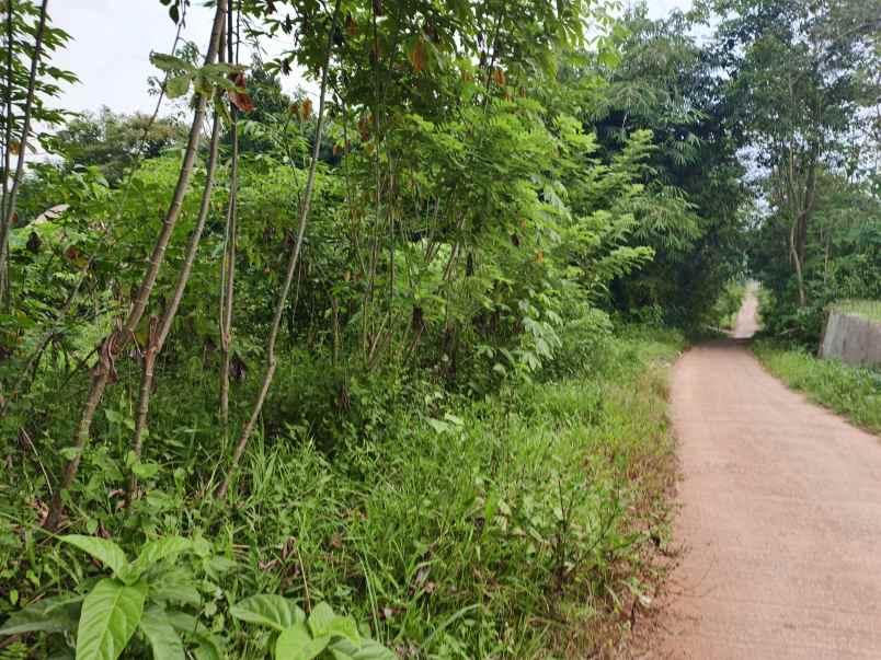 dijual tanah kebun di selaawi pasawahan purwakarta
