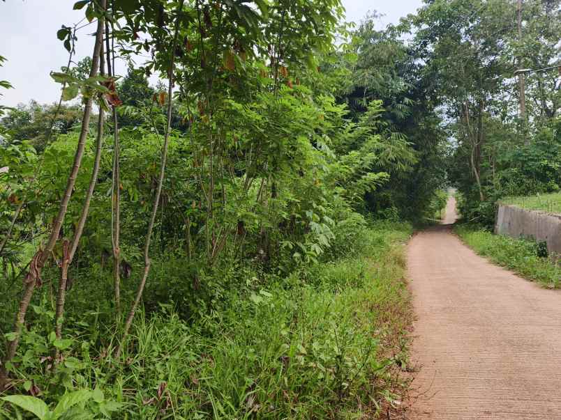 dijual tanah kebun di selaawi pasawahan purwakarta