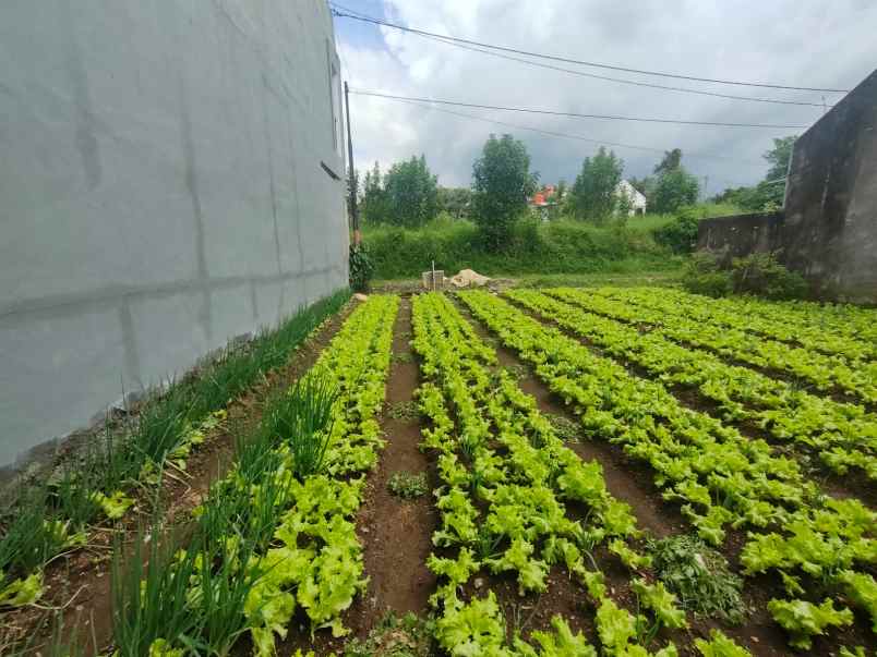 dijual tanah kec parongpong