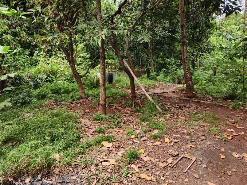 dijual tanah kp jati jl pemuda ii