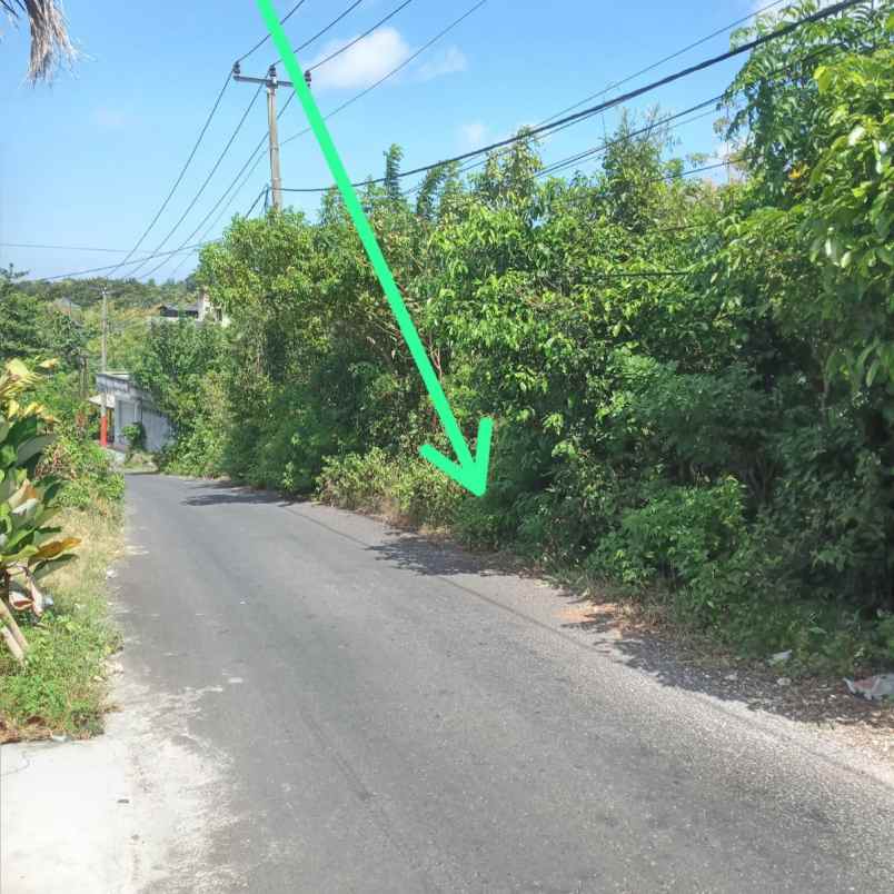 dijual tanah kutuh ungasan goa gong