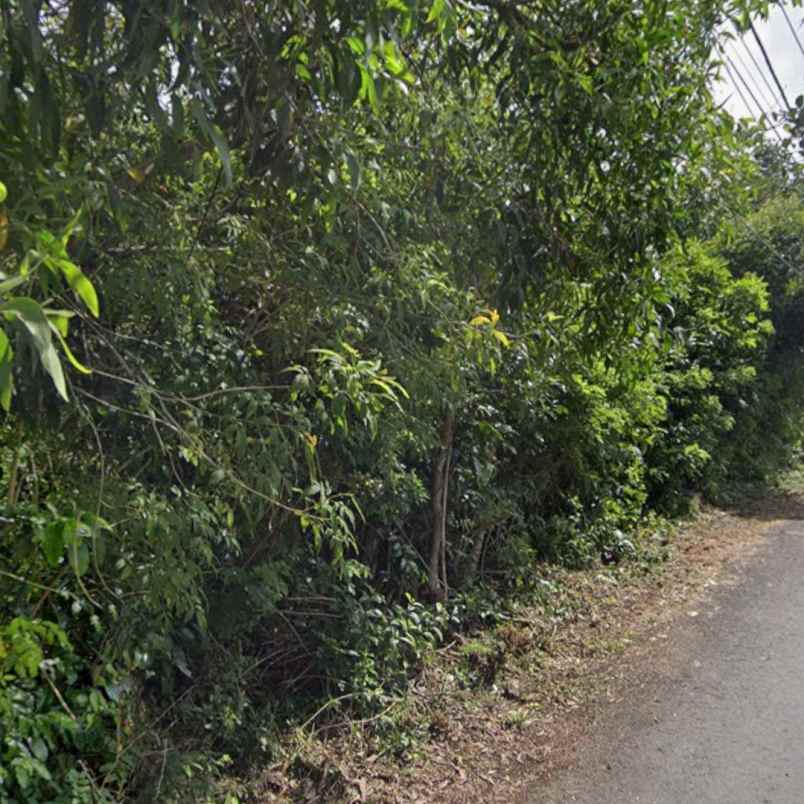 dijual tanah kutuh ungasan goa gong