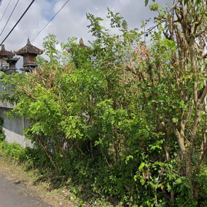 dijual tanah kutuh ungasan goa gong