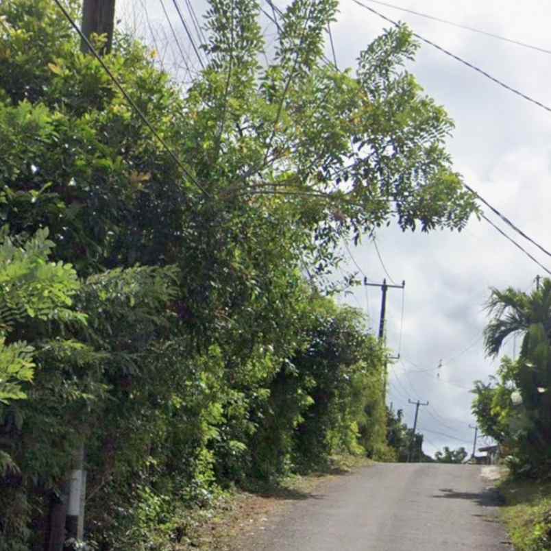 dijual tanah kutuh ungasan goa gong