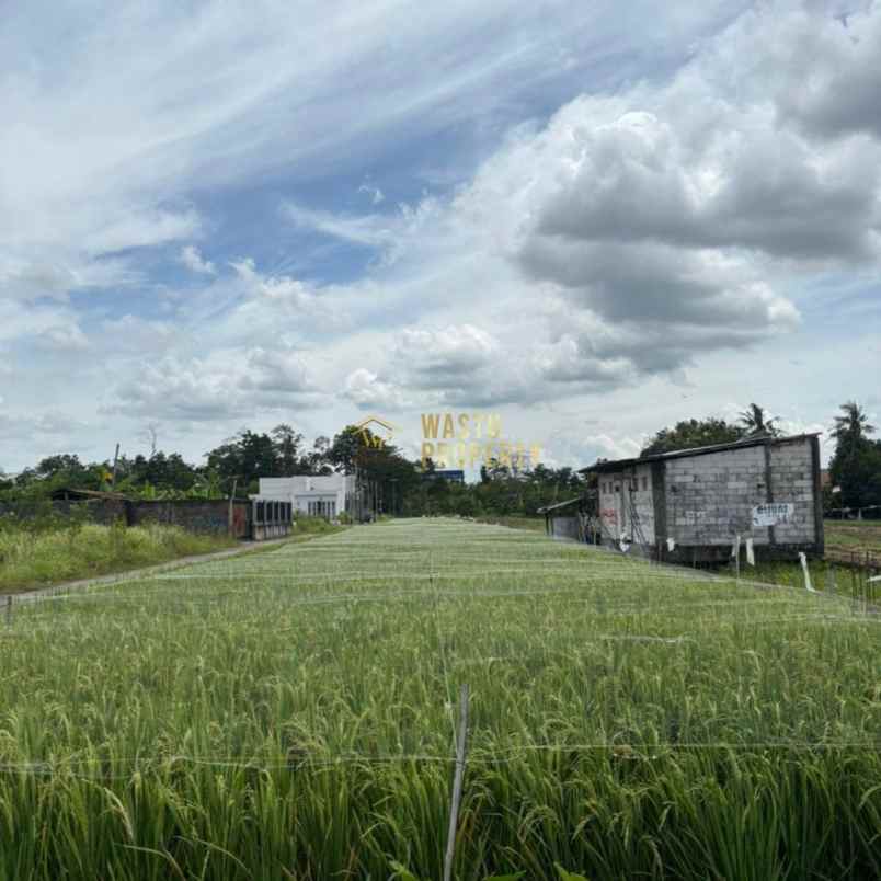 dijual tanah maguwoharjo kabupaten