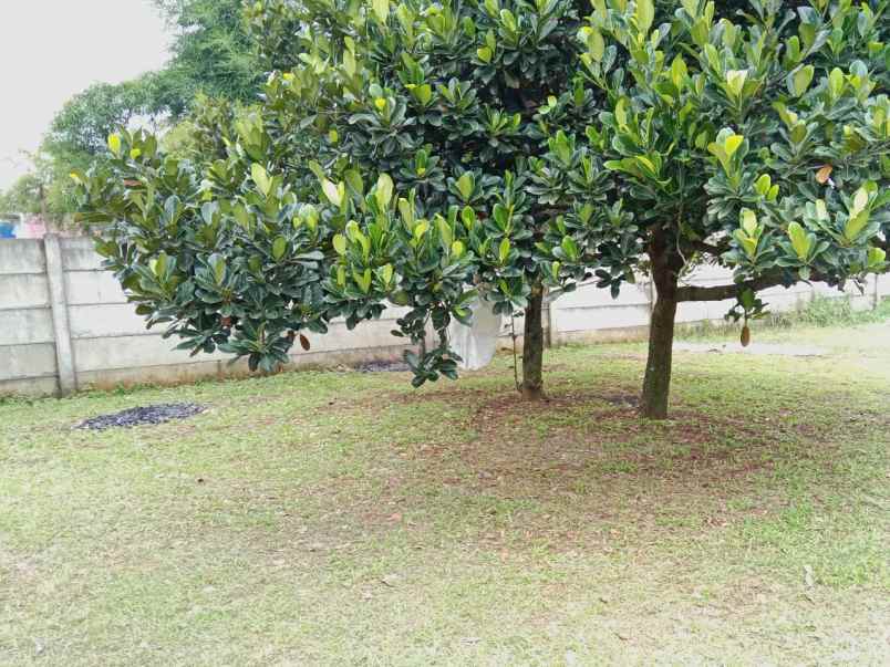 dijual tanah milik pribadi dikalisuren