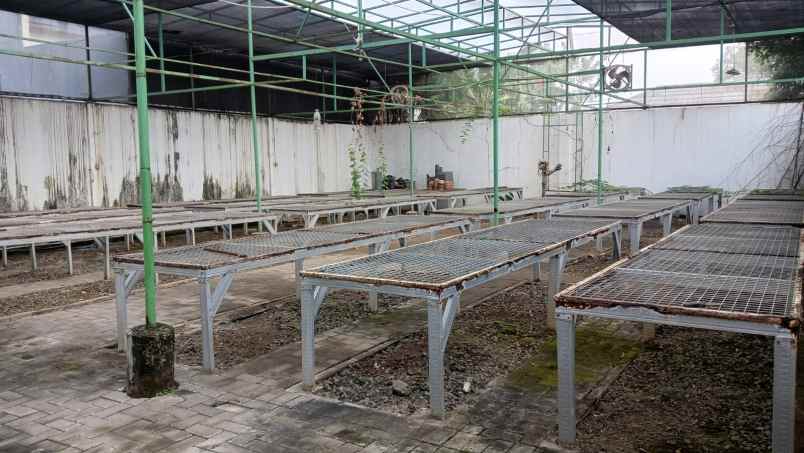 dijual tanah palebon