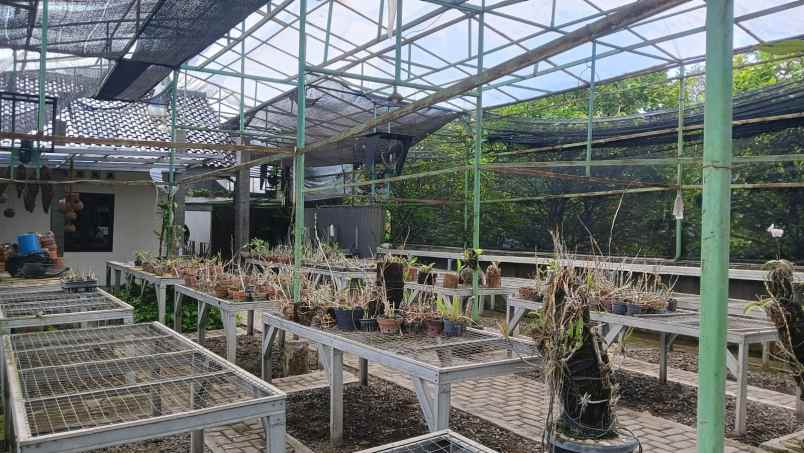 dijual tanah palebon