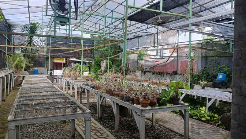 dijual tanah palebon