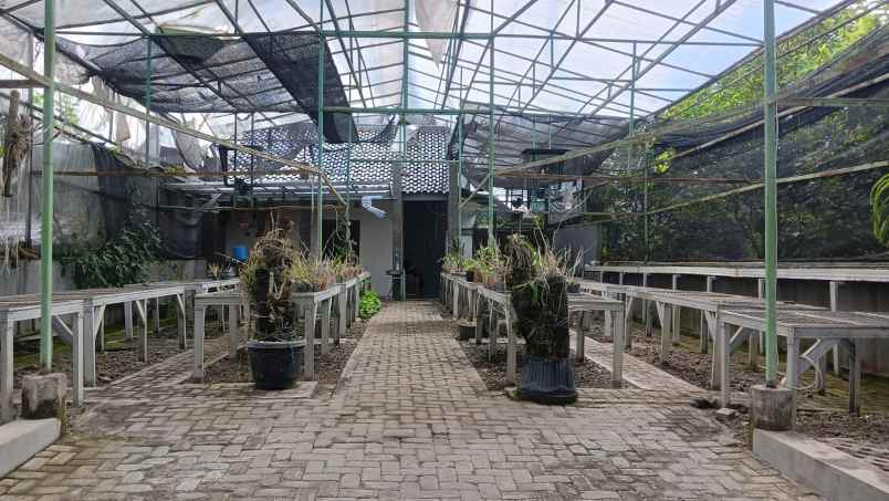 dijual tanah palebon