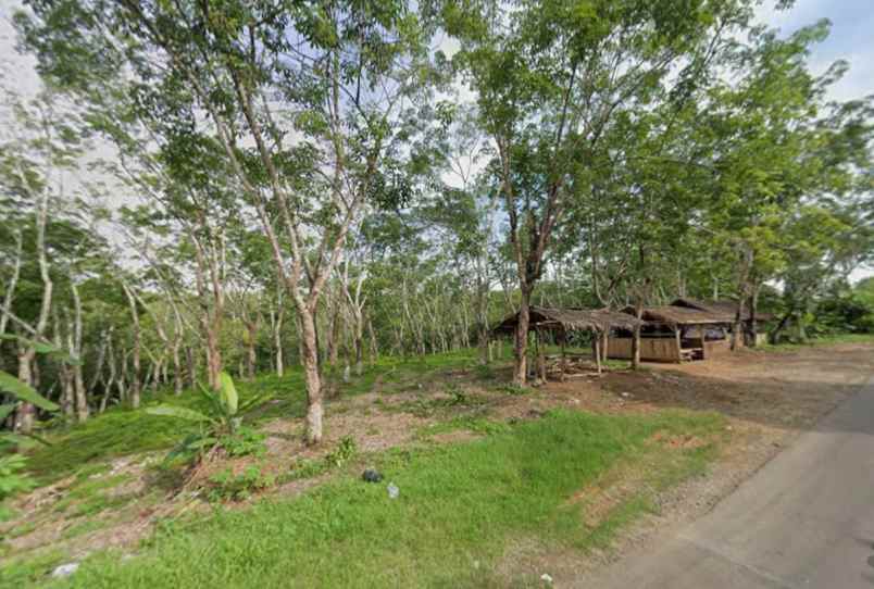 dijual tanah pamarican