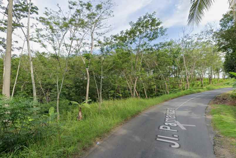 dijual tanah pamarican