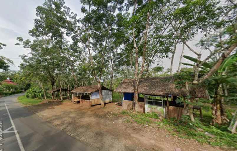 dijual tanah pamarican