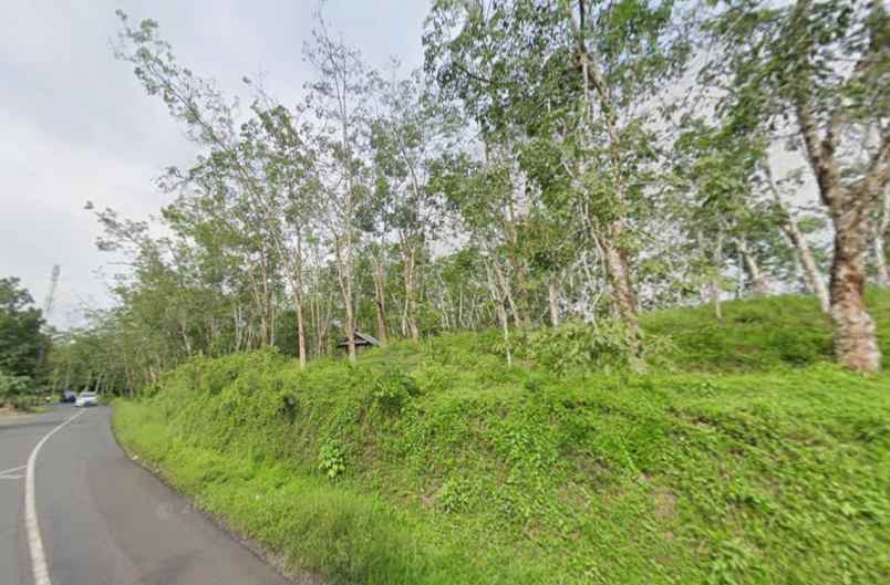 dijual tanah pamarican