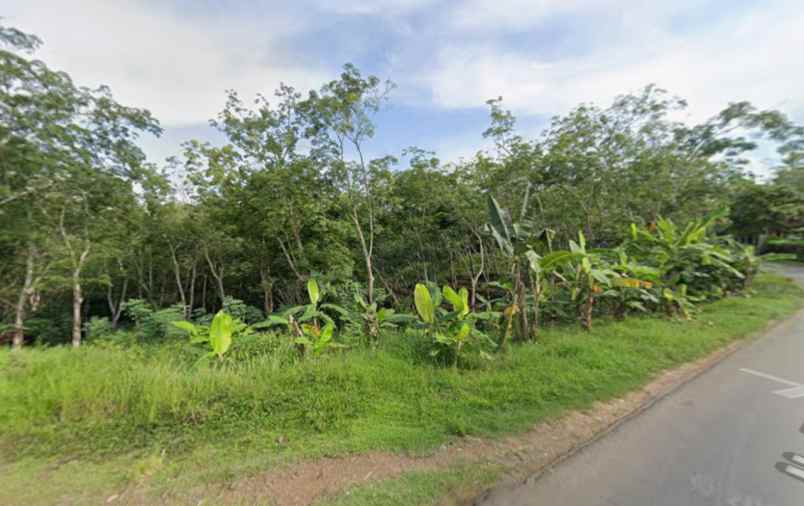 dijual tanah pamarican