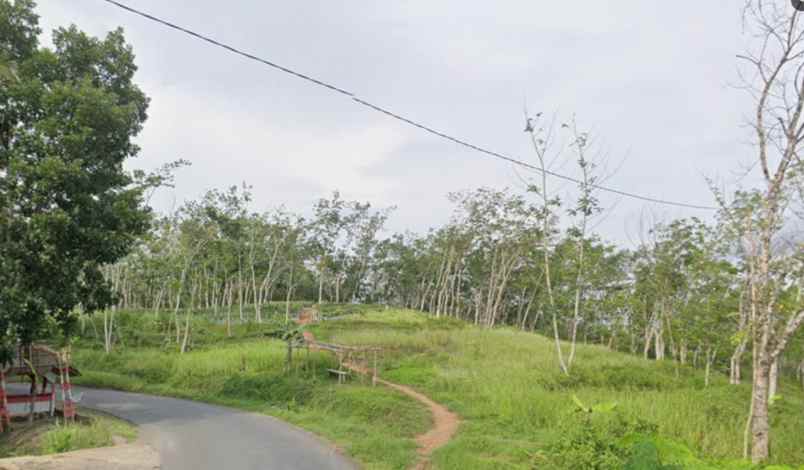 dijual tanah pamarican