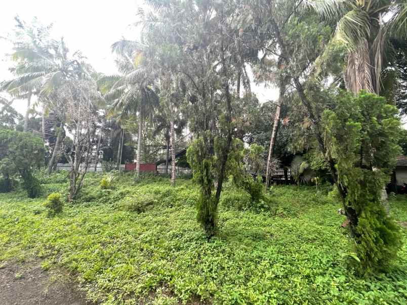 dijual tanah panunggangan