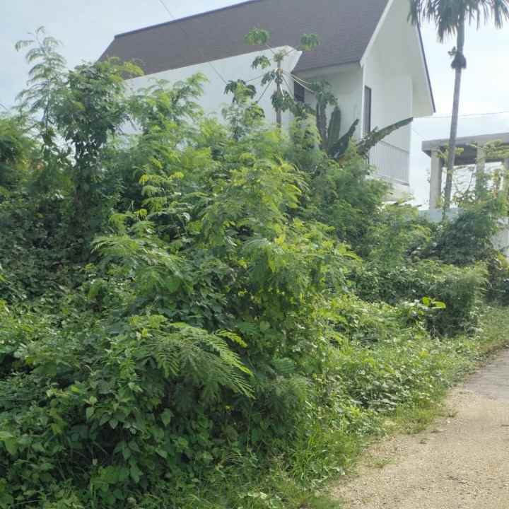 dijual tanah penaron