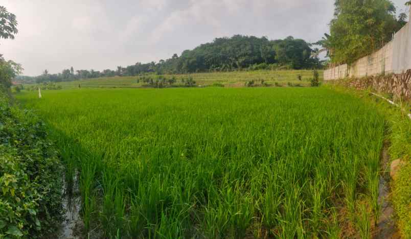 dijual tanah sawah belakang smkn 1 sukatani purwakarta